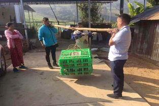 瑞麗市教育局傾情助農(nóng)，暢通農(nóng)副產(chǎn)品銷(xiāo)售渠道，助力脫貧攻堅(jiān)