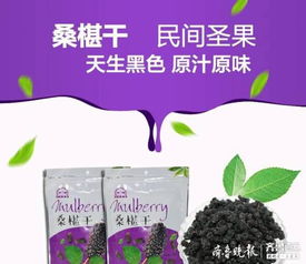 山東古桑農(nóng)副產(chǎn)品公司 實施三大銷售模式，推動健康產(chǎn)業(yè)化發(fā)展