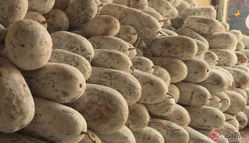 愛心企業助農紓困 寧洱滯銷農副產品溫暖環衛工人抗疫路