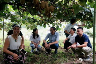 紅星實業集團攜手永順縣，開拓鄉村果蔬農副產品銷售新路徑