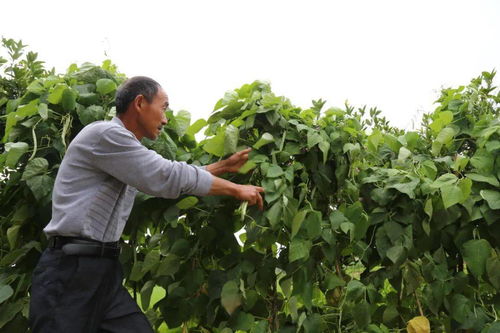 守護餐桌安全，傳遞誠信力量 2023年宜昌食品銷售行業(yè)楷模名單揭曉