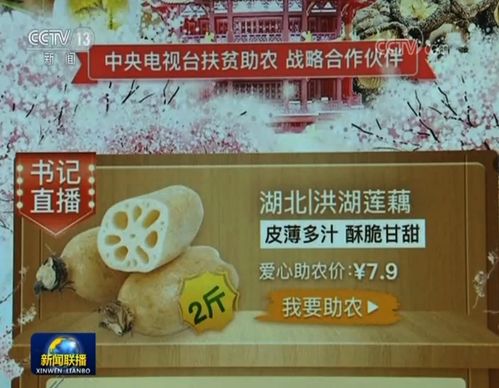 各界攜手助力湖北農(nóng)副產(chǎn)品銷售推廣
