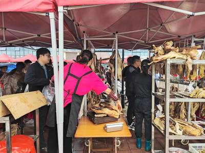 優(yōu)質(zhì)農(nóng)副產(chǎn)品展銷會 品味健康，共享豐收