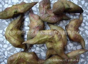 濟寧市任城區(qū)譜天農(nóng)副產(chǎn)品銷售中心 優(yōu)質(zhì)食品銷售的專業(yè)平臺