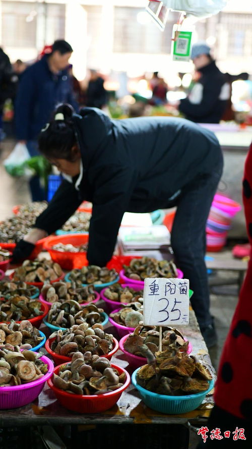 玉華樓菜市場 人聲鼎沸的清晨與鮮活的食品交響曲