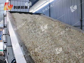 高效農(nóng)副產(chǎn)品干燥新選擇——解析鄭州科威大蒜烘干機(jī)的自動(dòng)鋪料技術(shù)